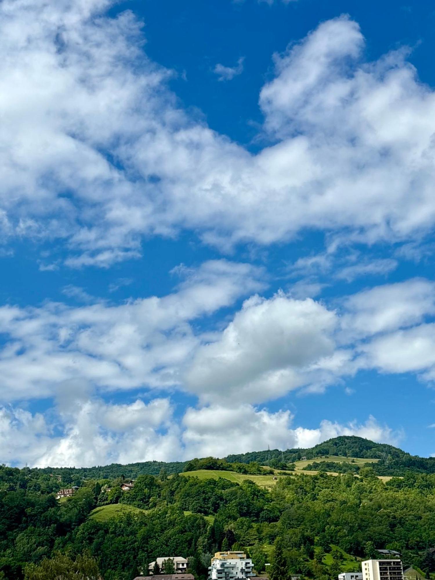 Albert 1Er Albertville Dış mekan fotoğraf