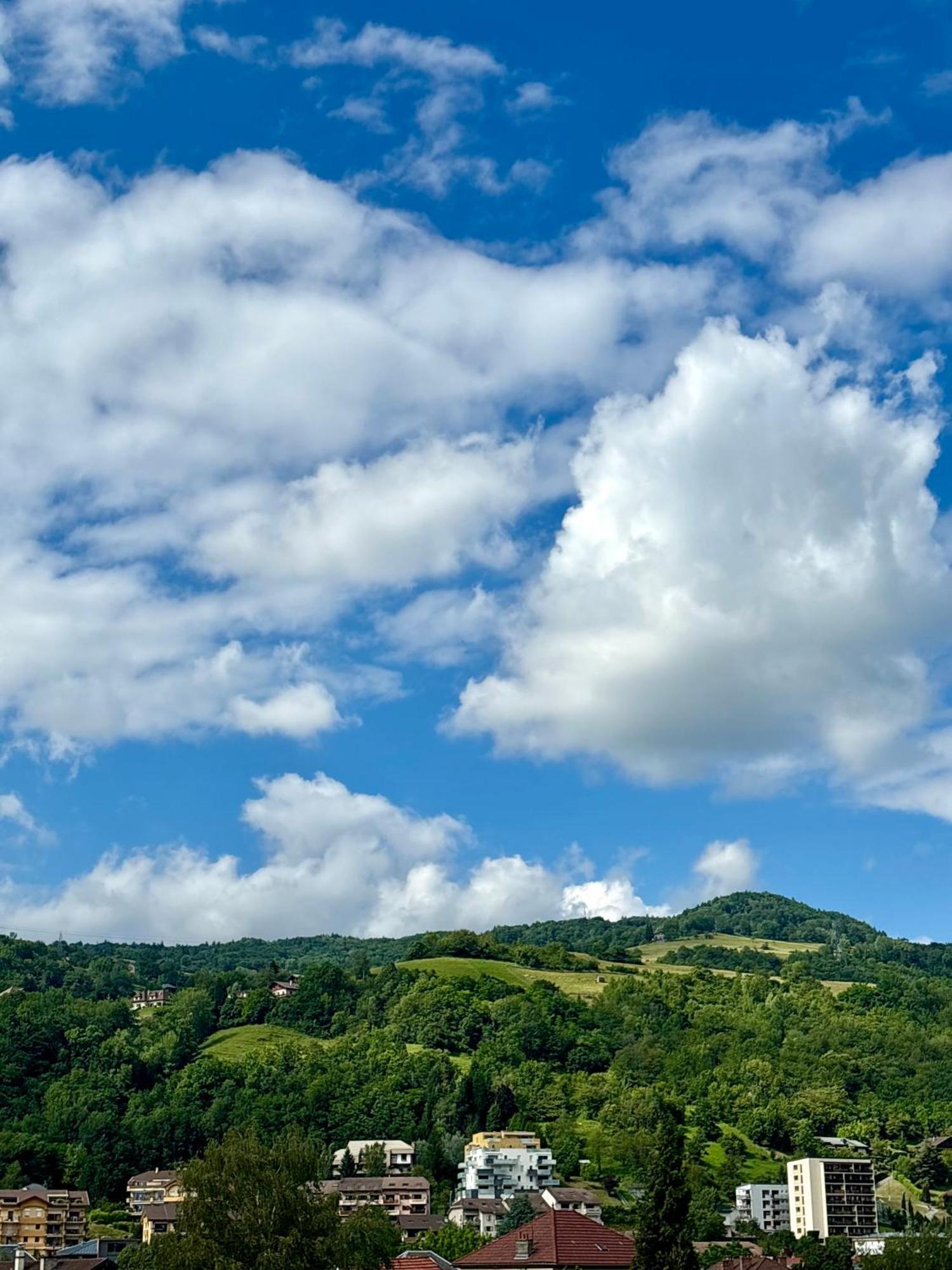 Albert 1Er Albertville Dış mekan fotoğraf
